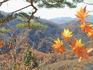 宝宝咳嗽土方法